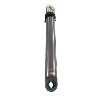 ZPMC 0691611-100/058-C C-Trolley Rope Tension Cylinder