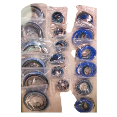 ZPMC 0691813-220/160-D Seal Kit / Snag Cylinder